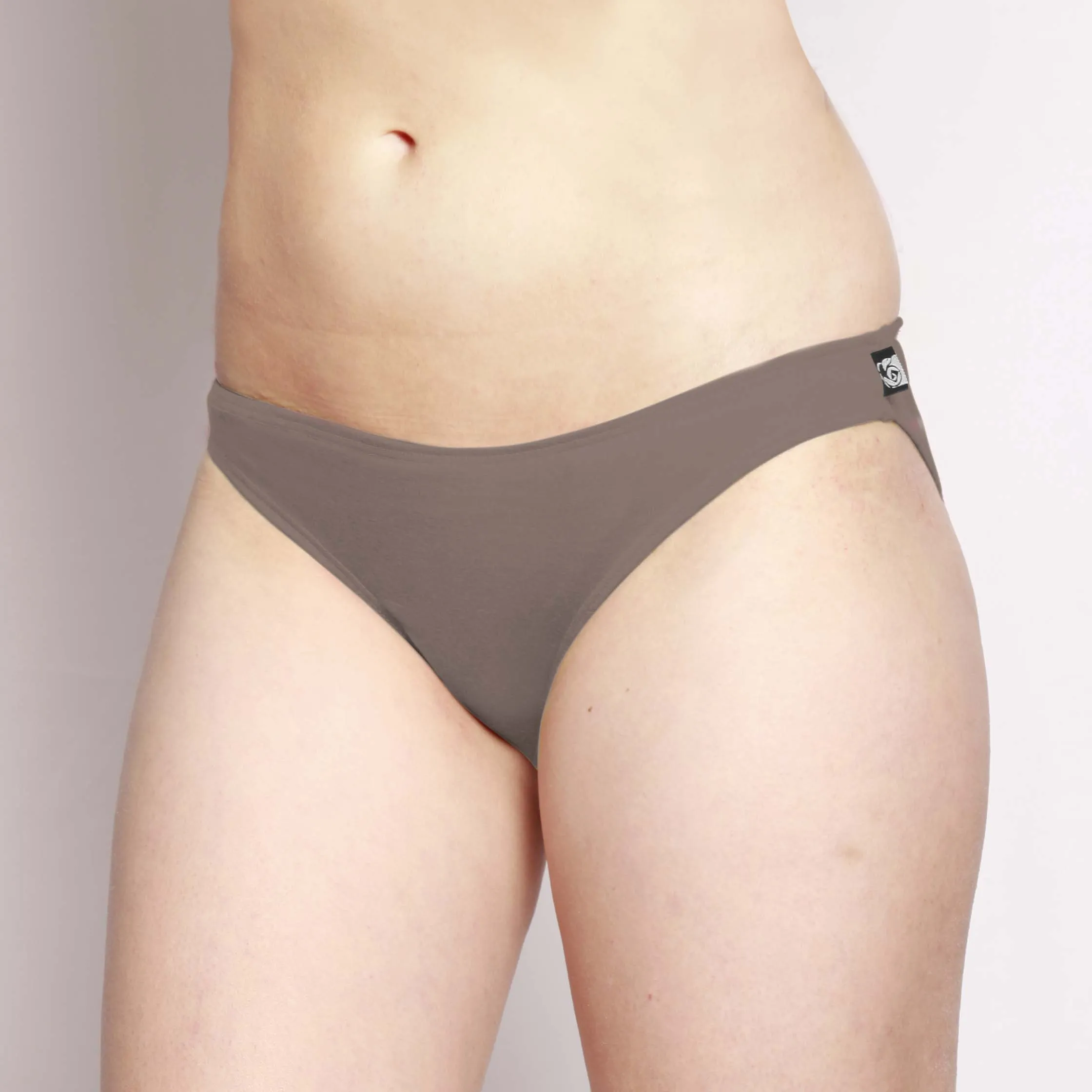 #695 Bikini Hipster Merino Briefs