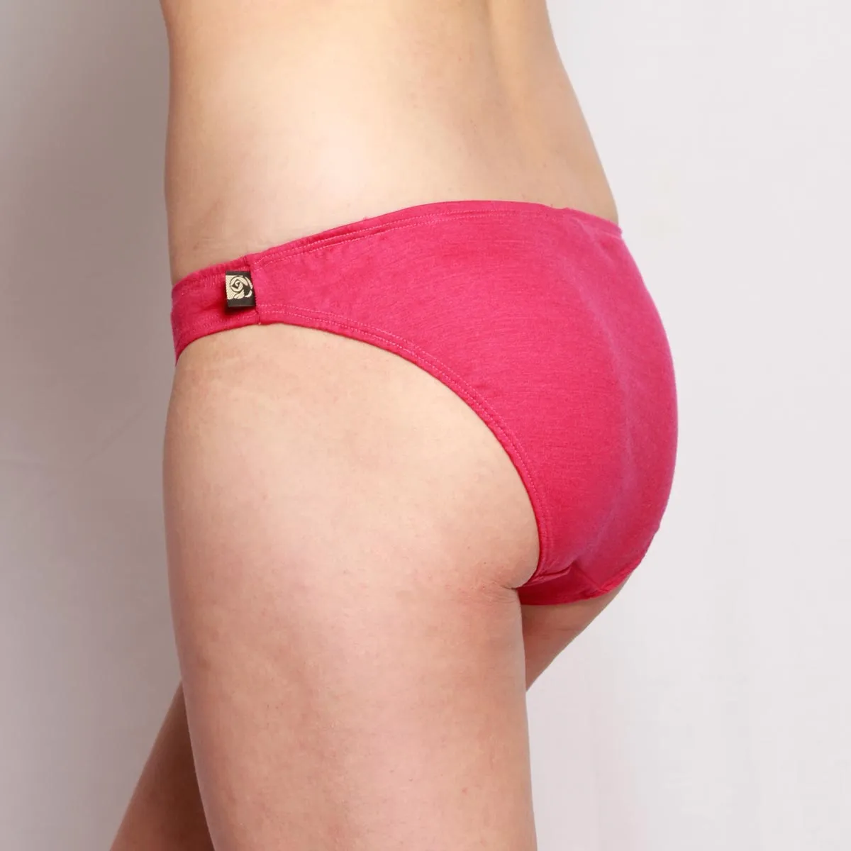 #695 Bikini Hipster Merino Briefs