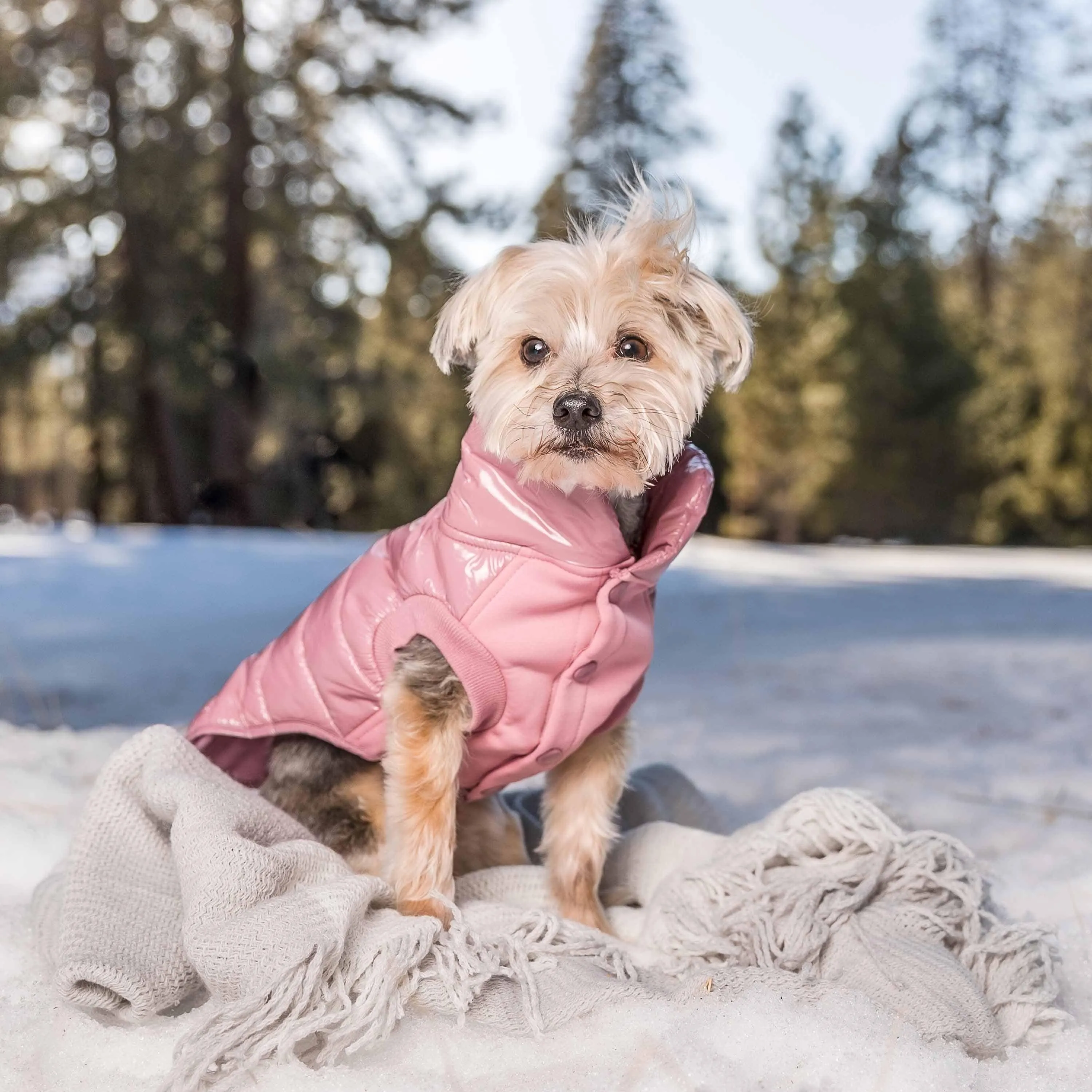 All-weather Quilted Glossy Dog Puffer Jacket