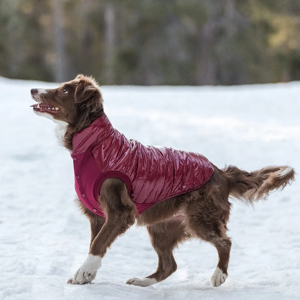 All-weather Quilted Glossy Dog Puffer Jacket