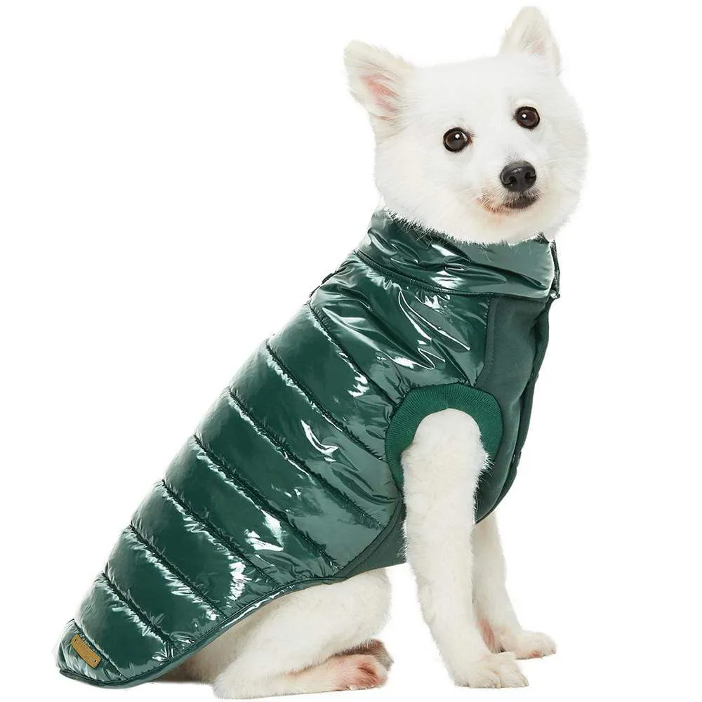 All-weather Quilted Glossy Dog Puffer Jacket