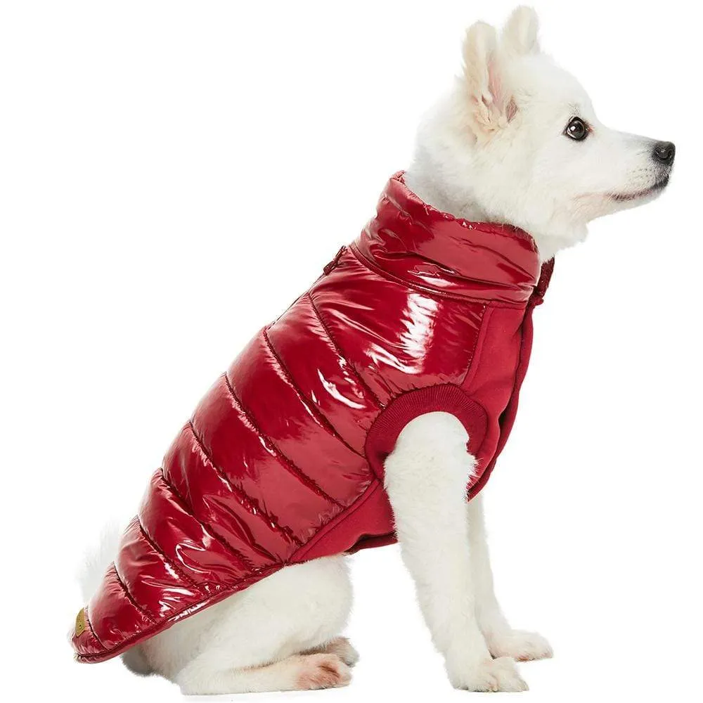 All-weather Quilted Glossy Dog Puffer Jacket