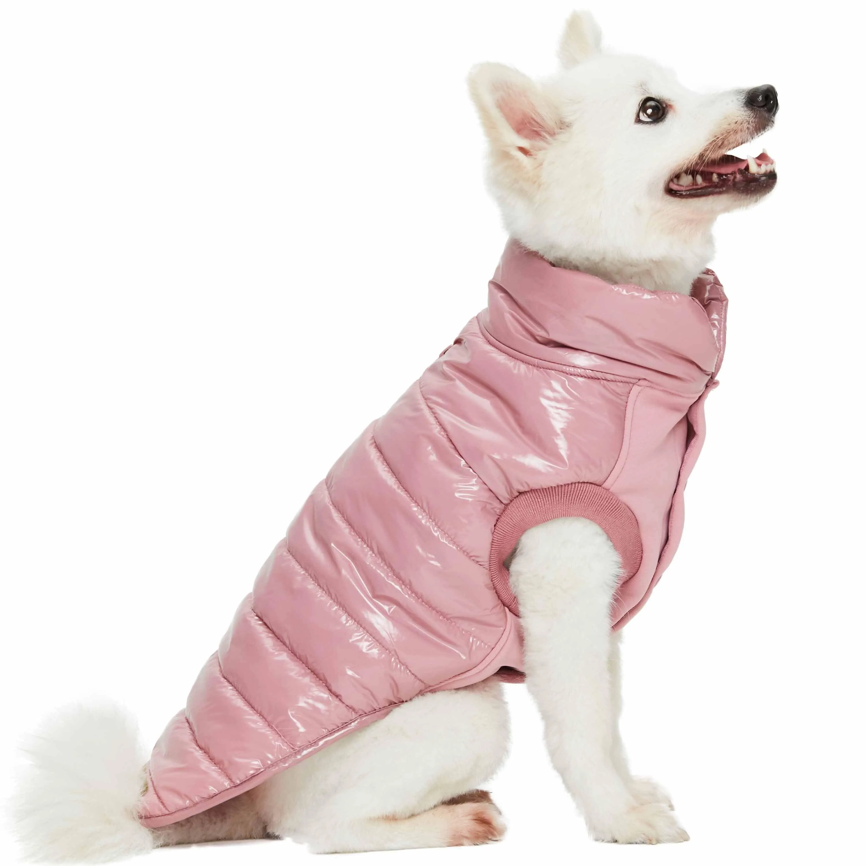 All-weather Quilted Glossy Dog Puffer Jacket