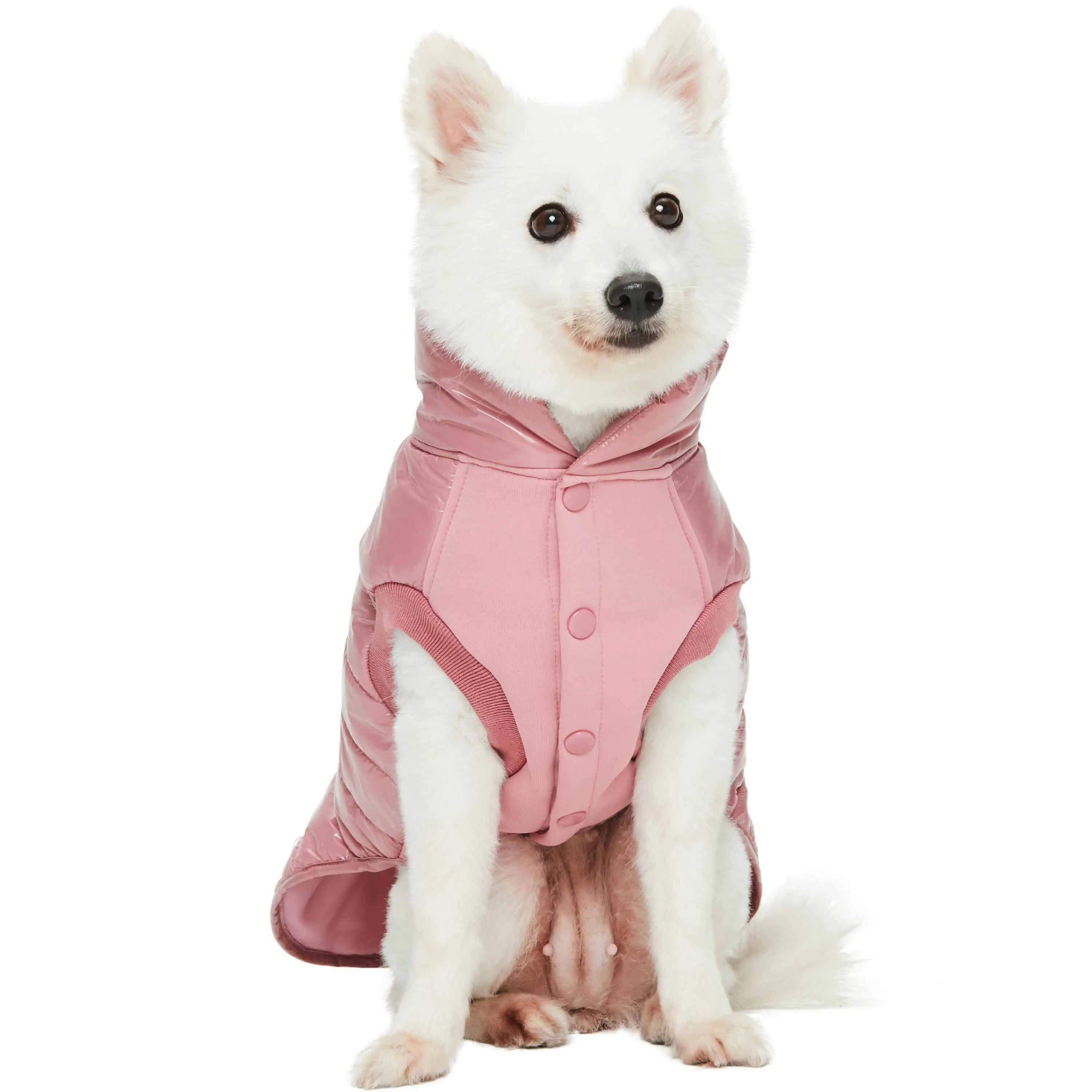 All-weather Quilted Glossy Dog Puffer Jacket