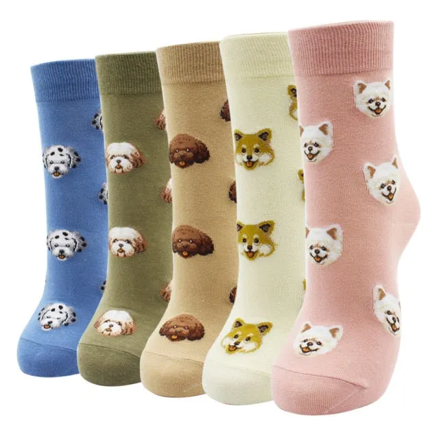 Kawaii  Women Socks | Cartoon | Cat | Dog | Owl Stripe | Avocado Girl | Cotton Socks | 2021 Hot Sale